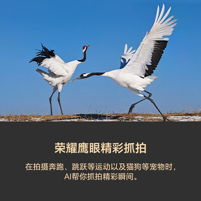 荣耀magic3和荣耀magic3至臻版什么区别（荣耀 荣耀Magic5 至臻版手机怎么样）