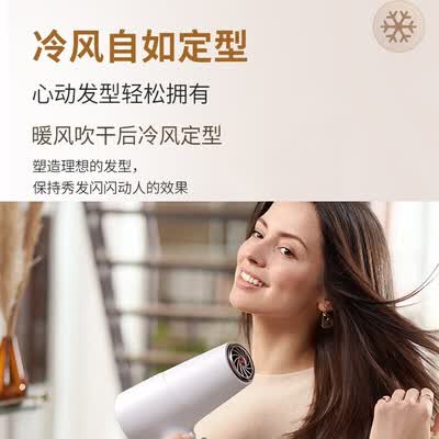 飞利浦（PHILIPS）电吹风机 2200w BHD501/05