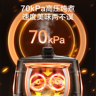 苏泊尔球釜电饭煲和电压力锅哪个好(苏泊尔电压力锅0涂层6L双胆精钢球釜电饭煲怎么样)-图片2