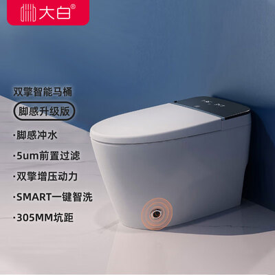 大白DXMT004-305智能马桶测评看真相（大白智能马桶怎么冲水）