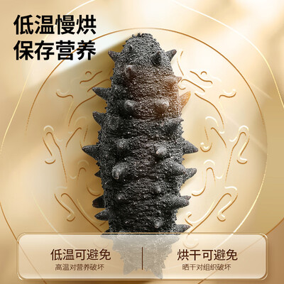 同仁堂淡干海参端午礼盒到底如何,值得入手吗(同仁堂淡干海参怎么样)