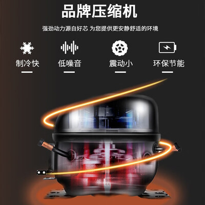 先科小冰柜怎么样（先科50L小冰柜立式冷柜家用冰柜怎么样）-图片2