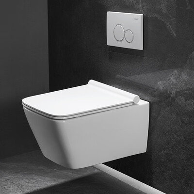 浪鲸壁挂式马桶 CT2078E评测说真相(浪鲸壁挂式马桶 CT2078E好不好)-图片5