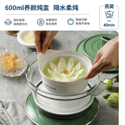 摩飞电器Morphyrichards 养生锅 MR9080