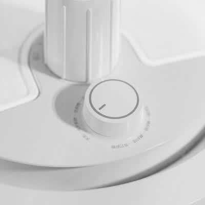 飞科（FLYCO）蒸汽挂烫机  FI9820