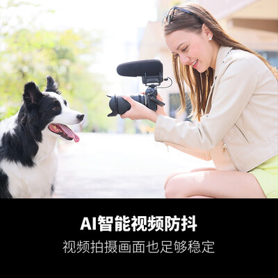 腾龙镜头70-200/2.8怎么样(腾龙 Tamron B070X 17-70mm F/2.8 Di III-A VC RXD微单镜头测评看真相)-图片2