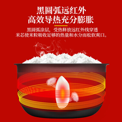 虎牌（Tiger）电饭煲电饭锅 JAX-C10C