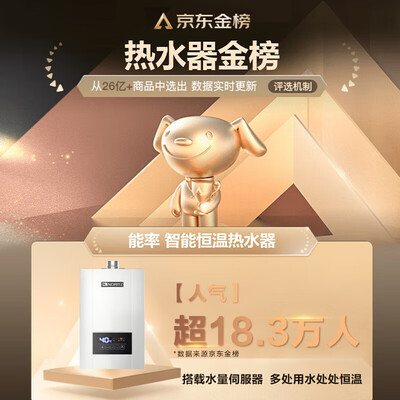 能率燃气热水器E4 13升恒温水伺服零冷水是否值得入手(能率燃气热水器质量怎么样?)-图片3