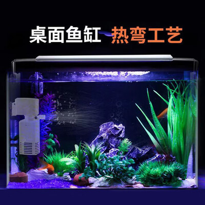 强势登场！聚创麒鱼缸五大亮点让你心动不已！