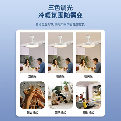 雷士风扇灯好吗（雷士怡风42寸风扇灯客厅吊灯好不好）