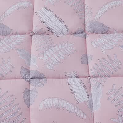 路易卡罗（Louis Kellog）叶柔羽丝被LK8781