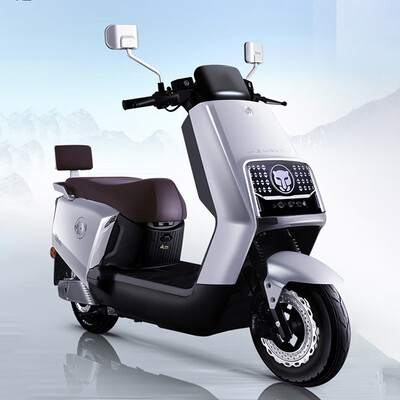 五星钻豹zub电动车怎么样（五星钻豹ZB1200DT-46A电动车评测说真相）-图片1