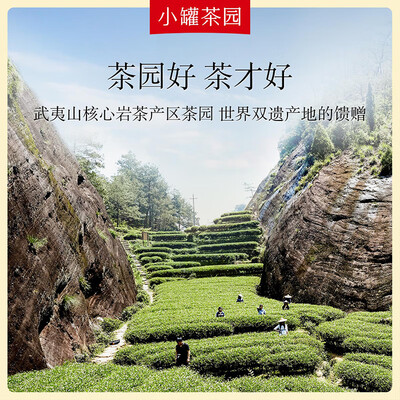 小罐茶  金标大红袍茶 65g