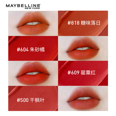美宝莲口红503肉桂豆沙到底如何,值得入手吗（美宝莲口红属于什么档次）-图片3