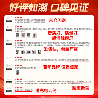 飞利浦 SD299 广场舞音响 户外K歌 蓝牙音箱是否值得入手（飞利浦蓝牙音箱怎么调时间）