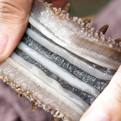 好海参和差海参的区别（好参道1-臻品1500即食海参怎么样）