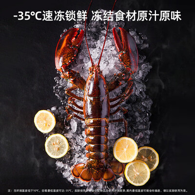 美菱100升冰柜BC/BD-100DT保鲜柜值得手入吗（美菱保鲜柜怎么样）-图片4