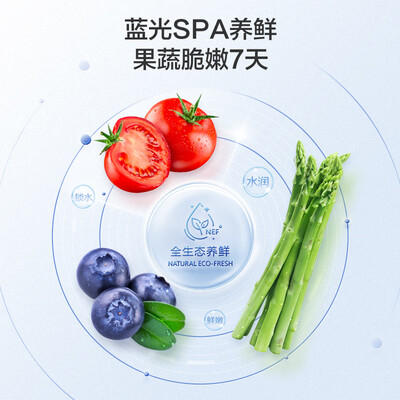 容声BCD-509WD18MP多门冰箱：品质之选，性价比之王-图片3