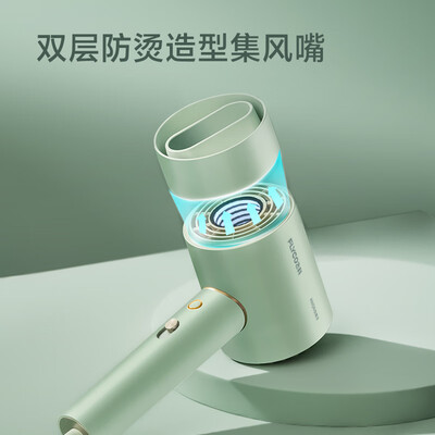 飞科（FLYCO） 吹风机 1600w  FH6310/FH6311/FH6312