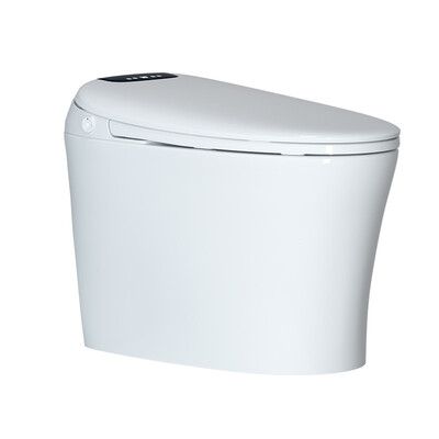 瑞尔特E38智能马桶评测细说真相内幕,看完知怎么样!