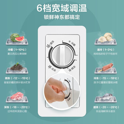 美的冰柜BD/BC-100KMD(E):性价比之选,囤货囤鲜两不误-图片2