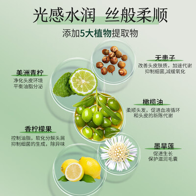 百年润发洗发水和别的洗发水区别（百年润发羽感轻盈洗发露洗发水怎么样）-图片3