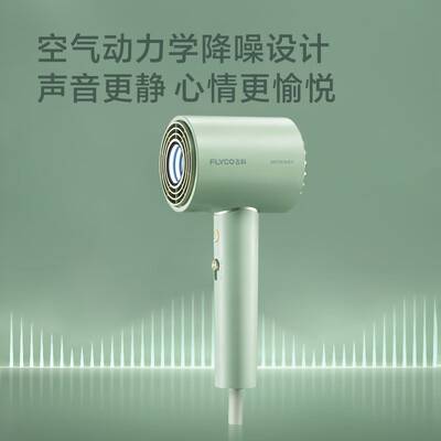 飞科（FLYCO） 吹风机 1600w  FH6310/FH6311/FH6312