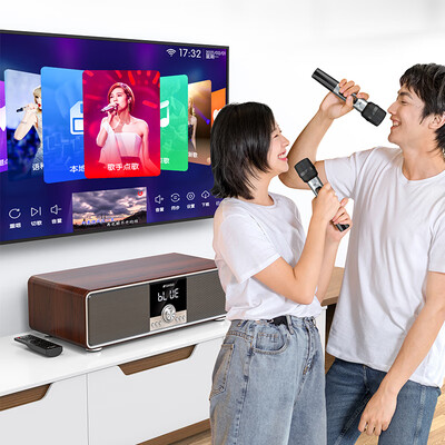 山水音响和电视怎么连接（山水T73电视音响质量如何）