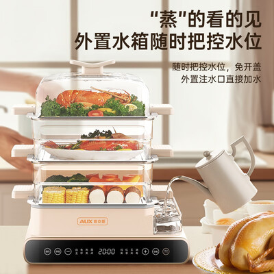 奥克斯AUX-DZG08-1804电蒸锅好不好，笔者细说五大亮点！