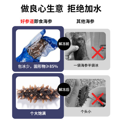 好海参和差海参的区别（好参道1-臻品1500即食海参怎么样）