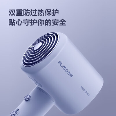 飞科（FLYCO）电吹风机家用 FH6358