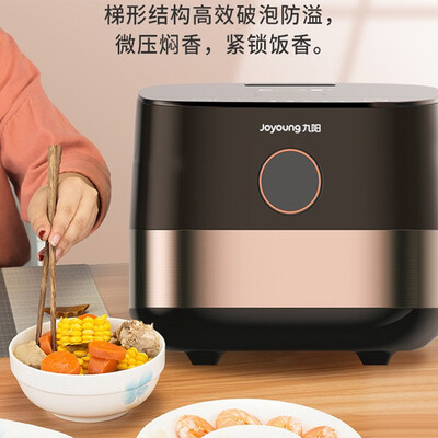 九阳 电饭煲 F40FZ-F6352 4.0L