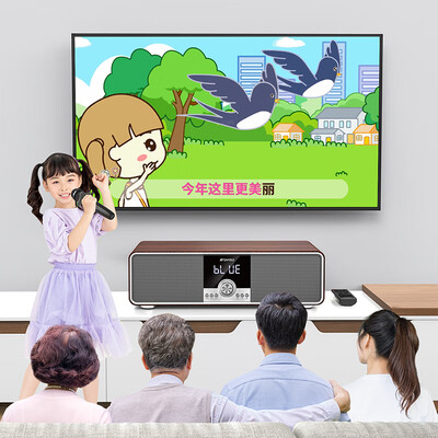 山水音响和电视怎么连接（山水T73电视音响质量如何）