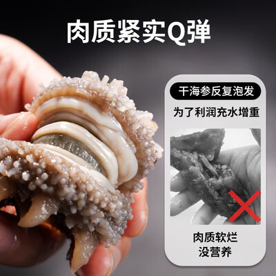 好海参和差海参的区别（好参道1-臻品1500即食海参怎么样）