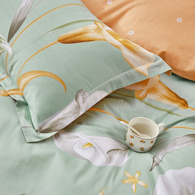 路易卡罗 彩悦纯棉四件套-艾莲娜 LK-6346 200*230cm