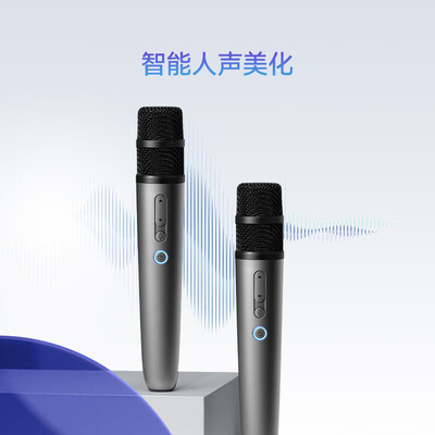 华为智选 智能K歌麦克风+华为VisionSE3 55英寸智慧屏套装