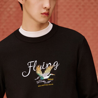 CABBEEN 男士刺绣毛衣 煤黑色 01 52/180/XL男士羊毛衫怎么样(CABBEEN 男士刺绣毛衣 煤黑色 01 52/180/XL男士羊毛衫测评看真相)