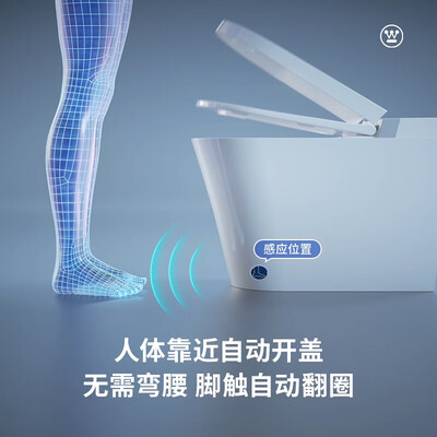 西屋WHJ-Q5智能马桶到底怎么样？用户口碑爆棚的真实评价！