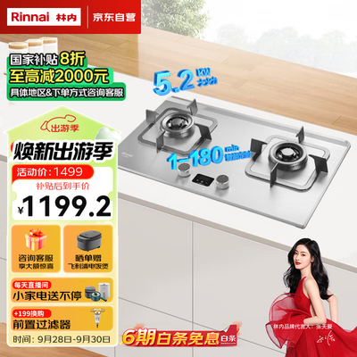 林内 2E08MTX 燃气灶 5.2KW双眼猛火猛火灶评测说真相(林内燃烧灶怎么样)-图片3