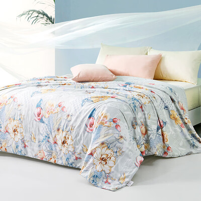 富安娜 玉茗春 蚕丝被 203×229cm质量如何（富安娜蚕丝被怎么样）-图片2