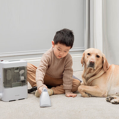 必胜和爱丽思的布艺清洗机哪个好（爱丽思RNS-300布艺清洗机靠谱吗,揭秘内幕）