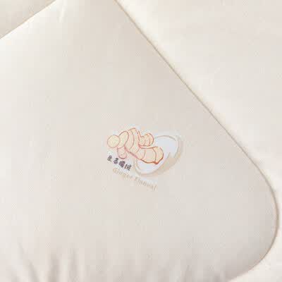 路易卡罗（Louis Kellog） 生姜暖绒被冬被LK-8796