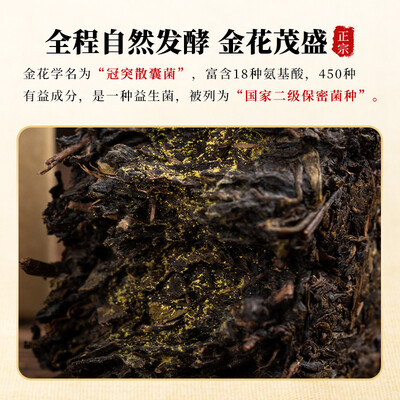 泾阳茯茶与安化黑茶哪个好（几于道 泾阳茯茶1kg黑茶评测说真相）