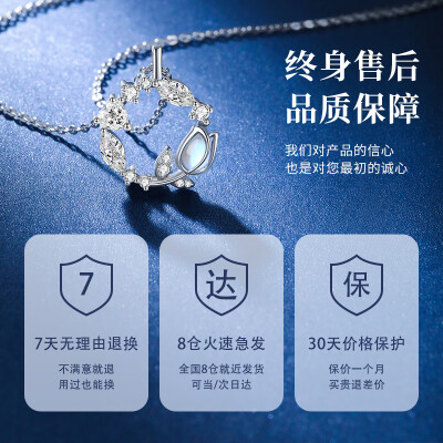 珍尚银银项链 ZSY-QIX评测说真相（珍尚银银项链 ZSY-QIX到底如何,值得入手吗）