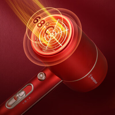 西屋 电吹风 H101