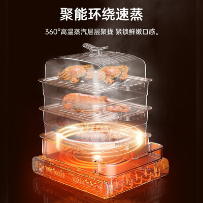 奥克斯AUX-DZG08-1804电蒸锅好不好，笔者细说五大亮点！