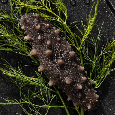 百年渔港的海参好吗（百年渔港即食海参质量烂不烂）