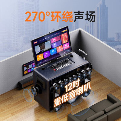 山水音响ktv套装哪款好（山水 SANSUI Q129 家庭K歌音响KTV音响质量如何）-图片5