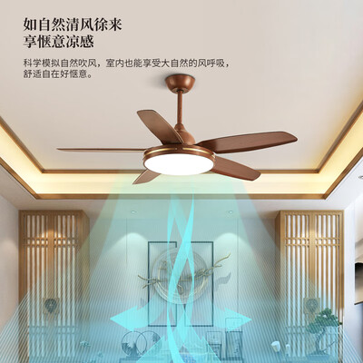 opple和雷士吊扇灯（雷士韶华智能风扇灯餐厅吊灯测评看真相）-图片5
