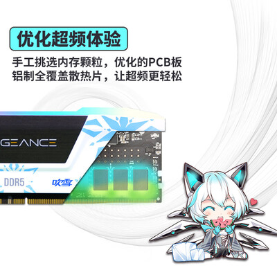 美商海盗船复仇者RGB DDR5 6400 32GB内存条质量深度剖析：真假辨识有门道-图片4